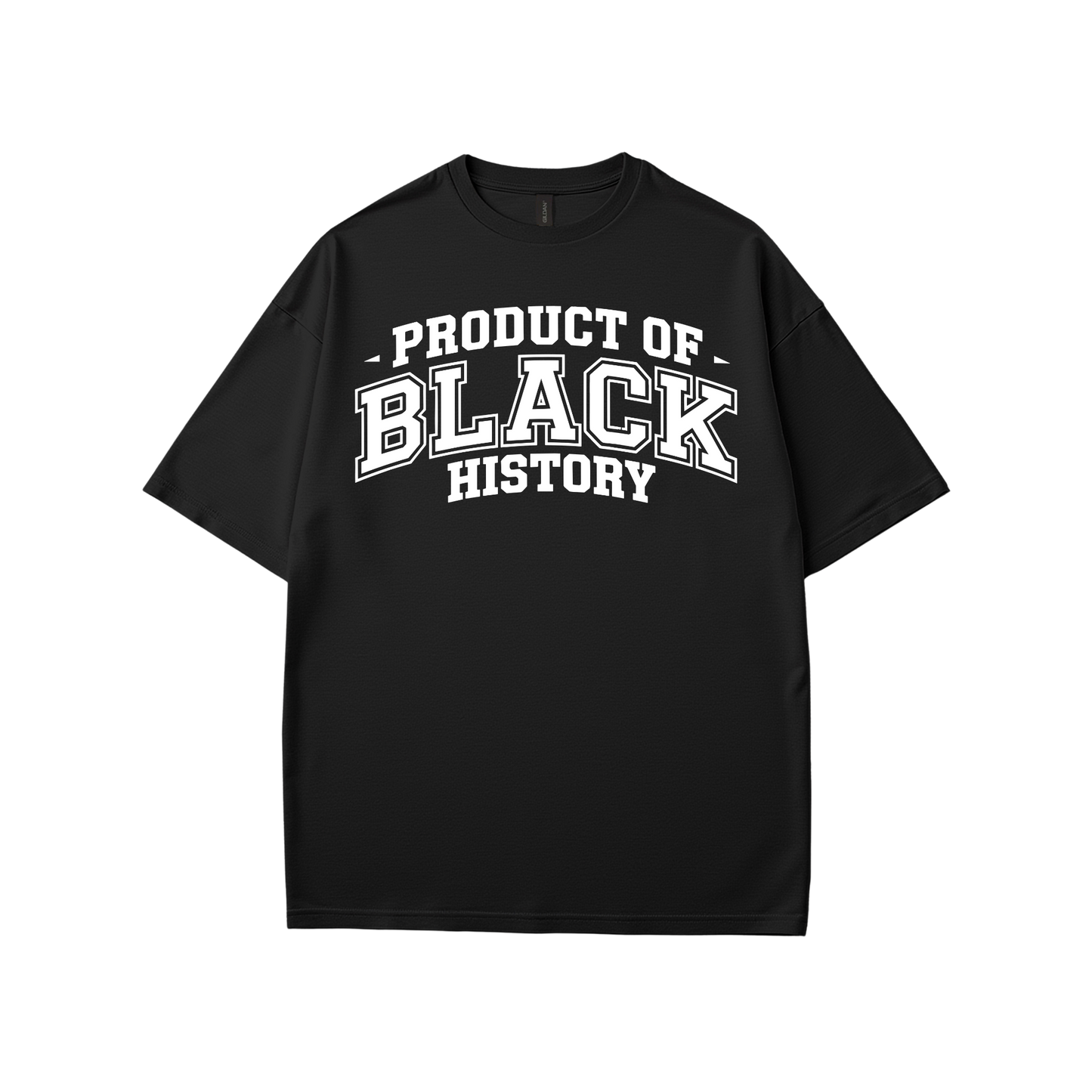 Property of Black History T-Shirt