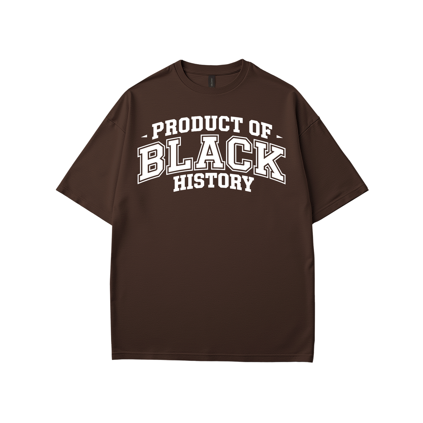 Property of Black History T-Shirt