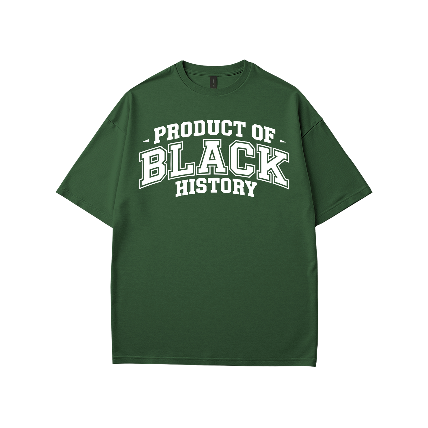 Property of Black History T-Shirt