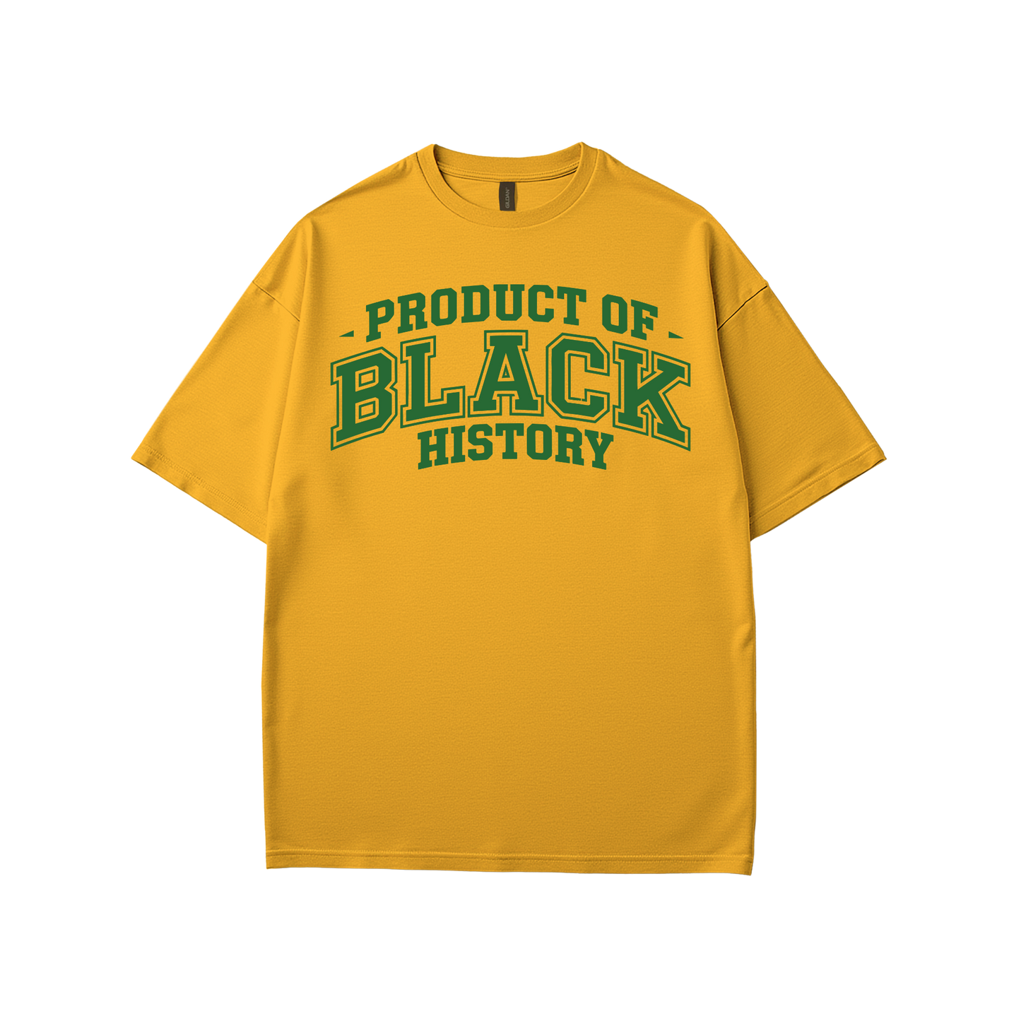 Property of Black History T-Shirt