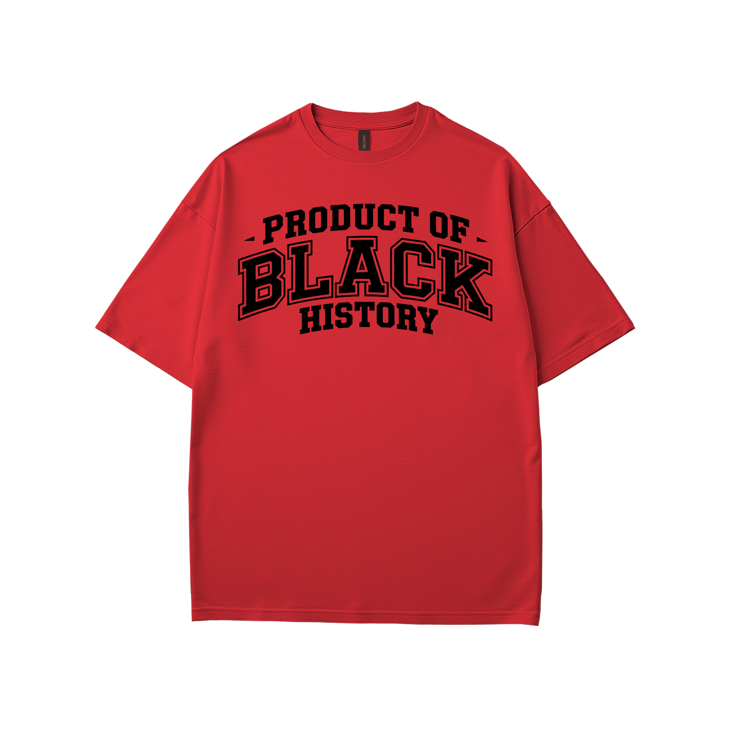 Property of Black History T-Shirt