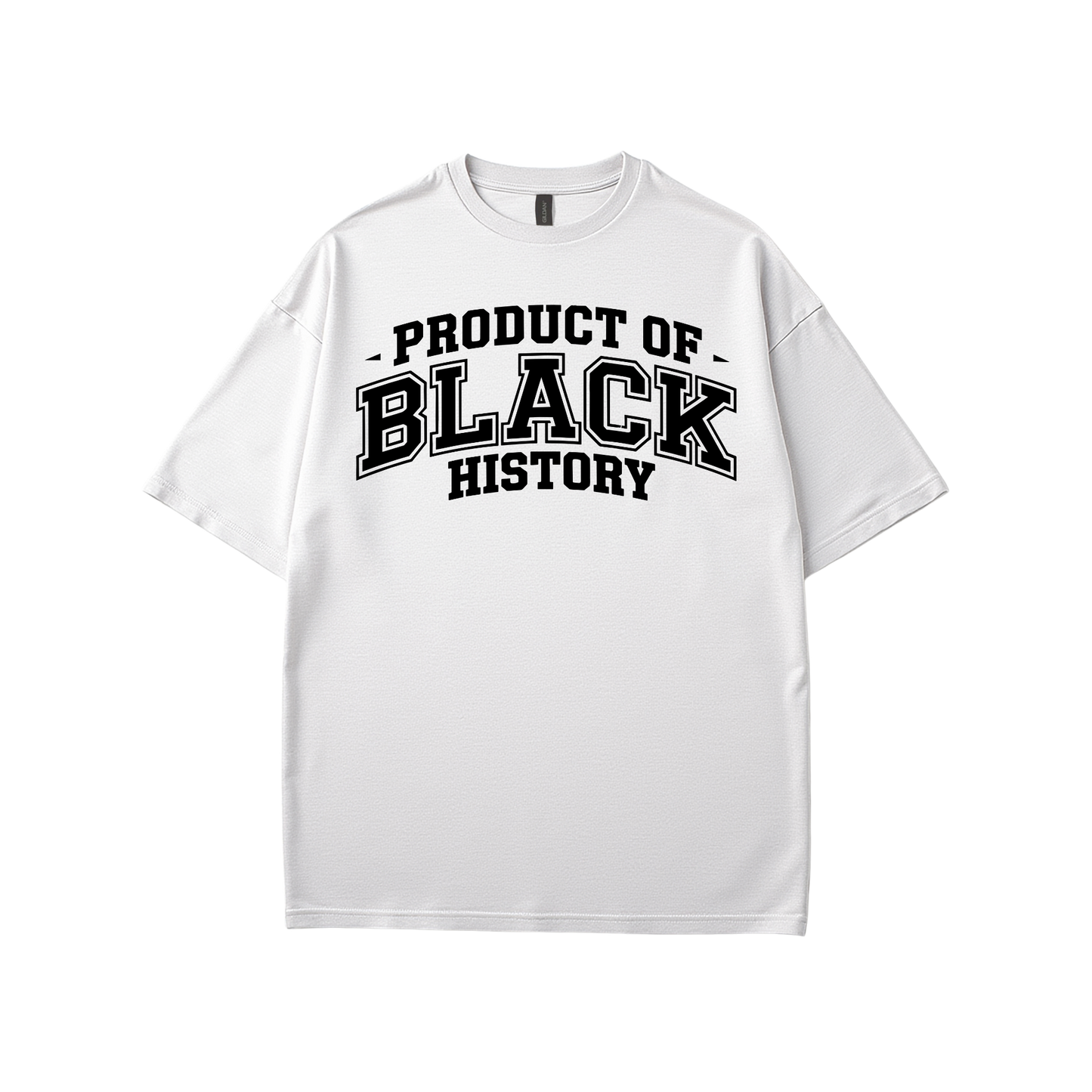 Property of Black History T-Shirt